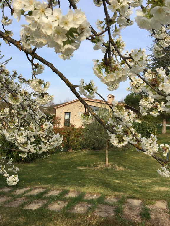 Agricola Caicucci Βίλα Montone  Εξωτερικό φωτογραφία